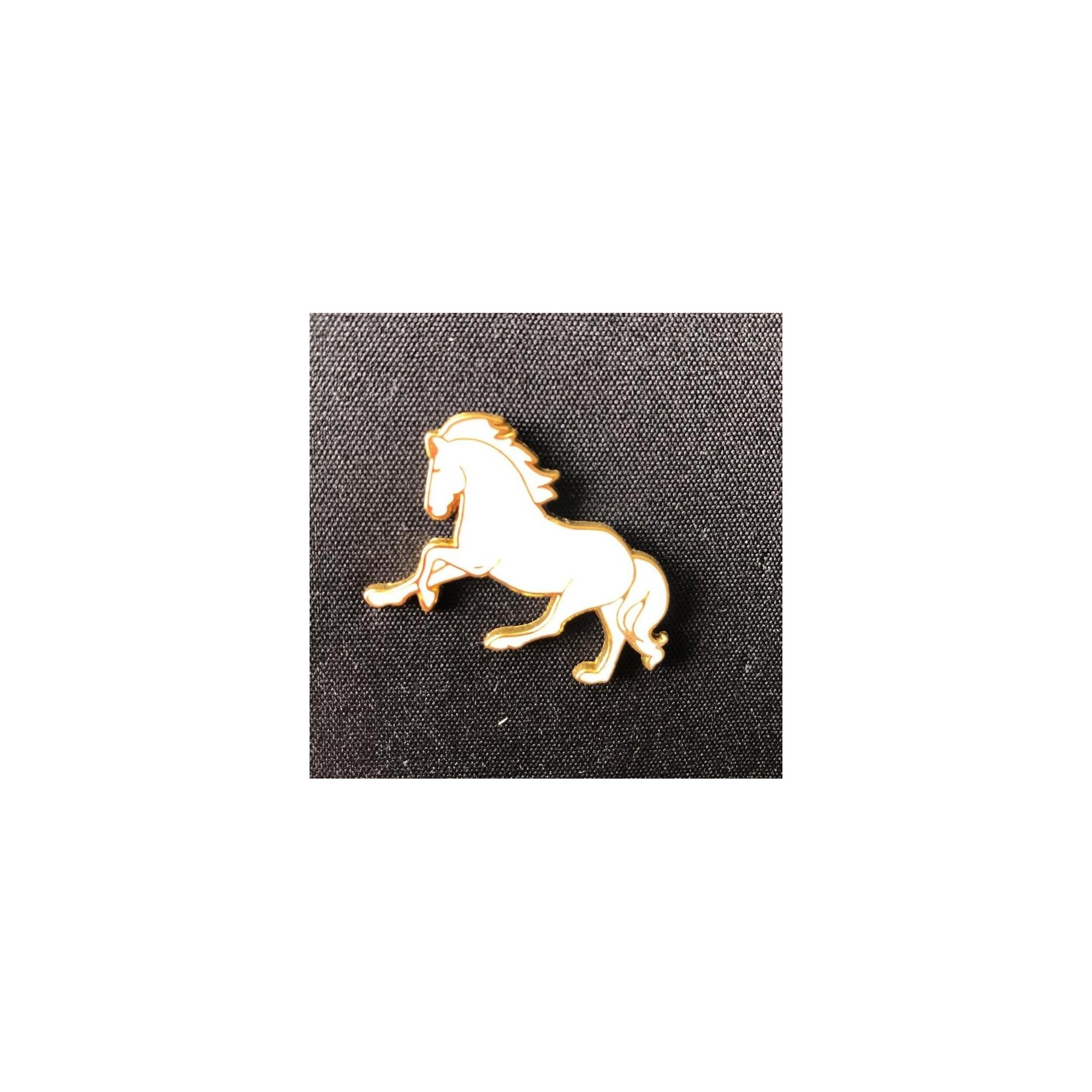 Pin Caballo