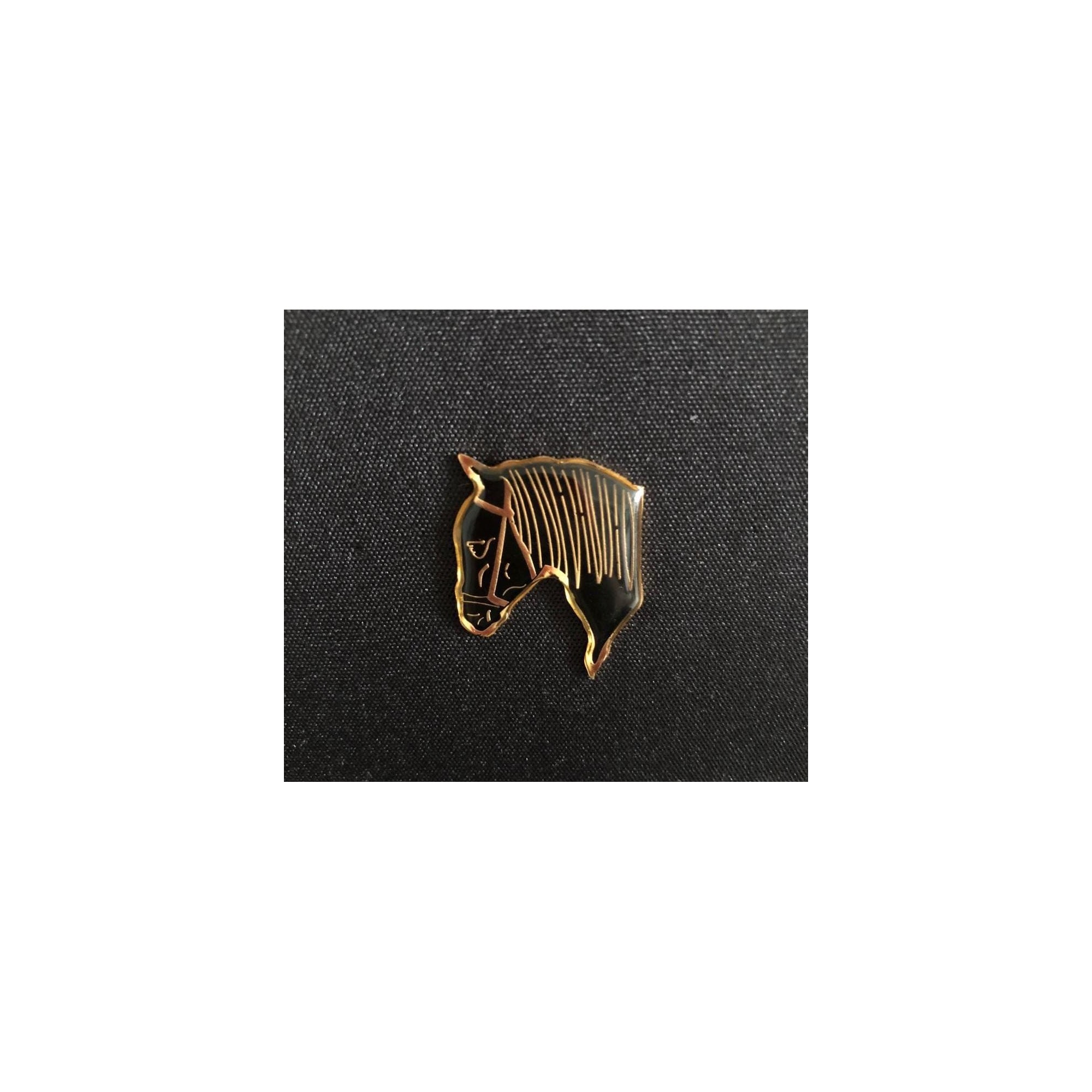 Pin Caballo