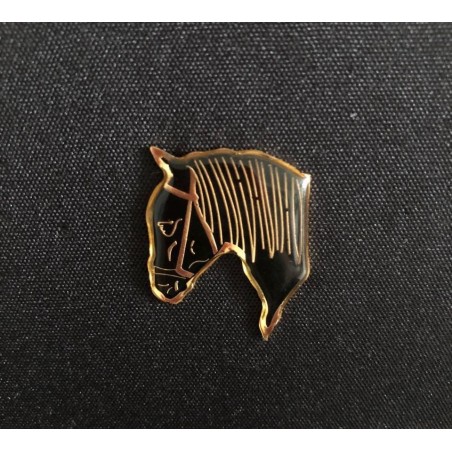 Pin Caballo