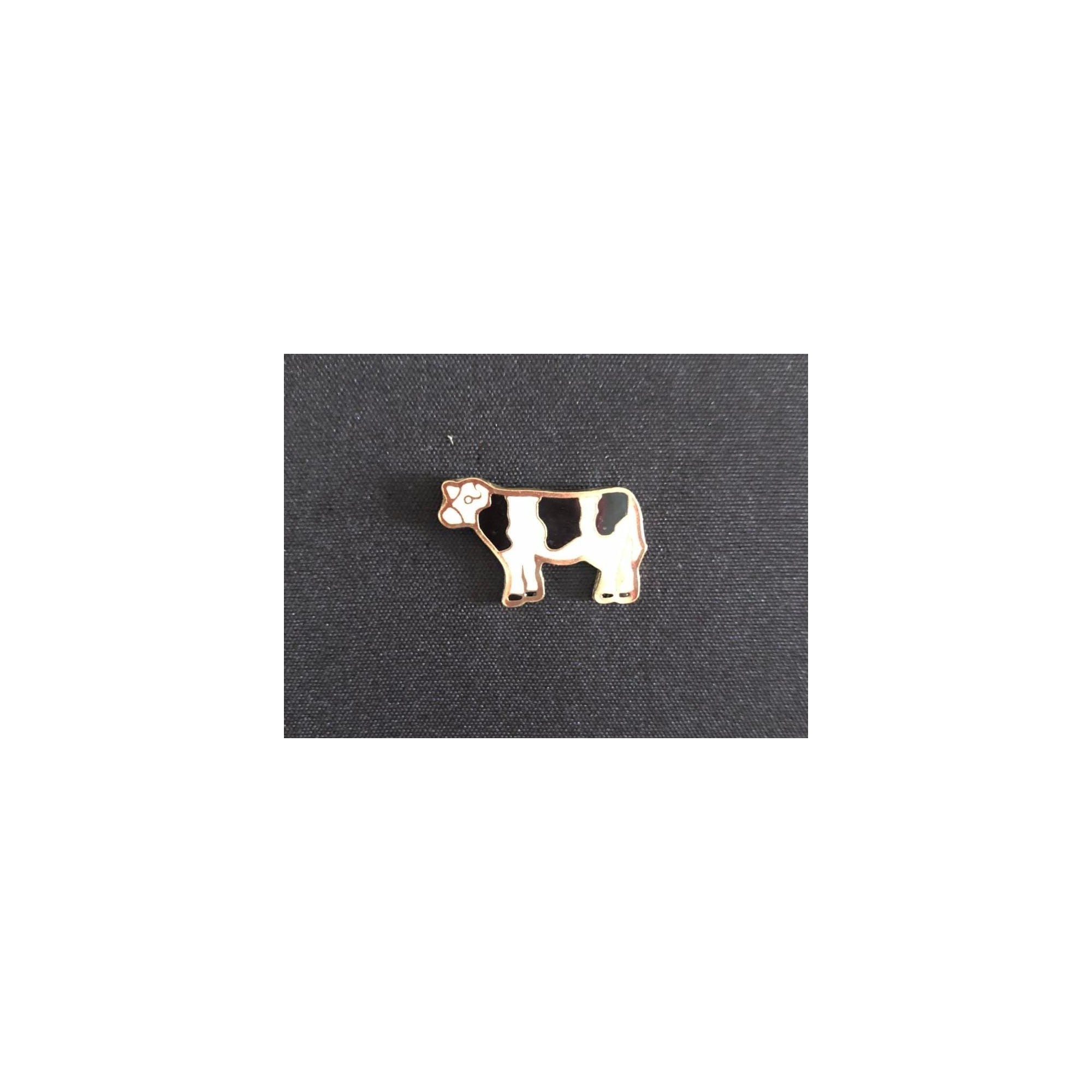Pin Vaca