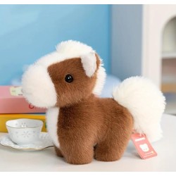 Peluche