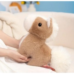 Peluche