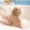 Peluche