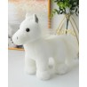 Peluche