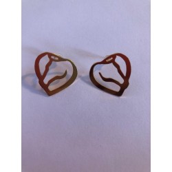 Aretas de Caballos