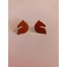 Aretas de Caballo